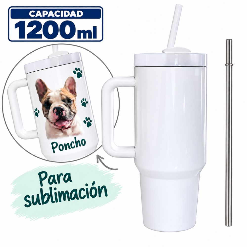 TEC239-POR_001_202610291613